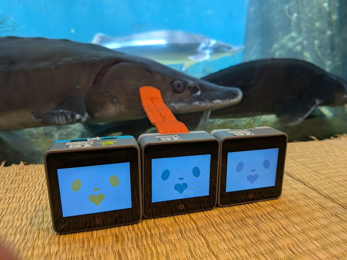 水族館の水槽の前で、3体